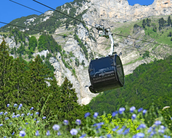 Aerial tramway in Frümsen, Switzerland
