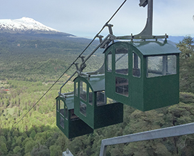 Gruppenbahn in National Park Huilo Huilo, Chile